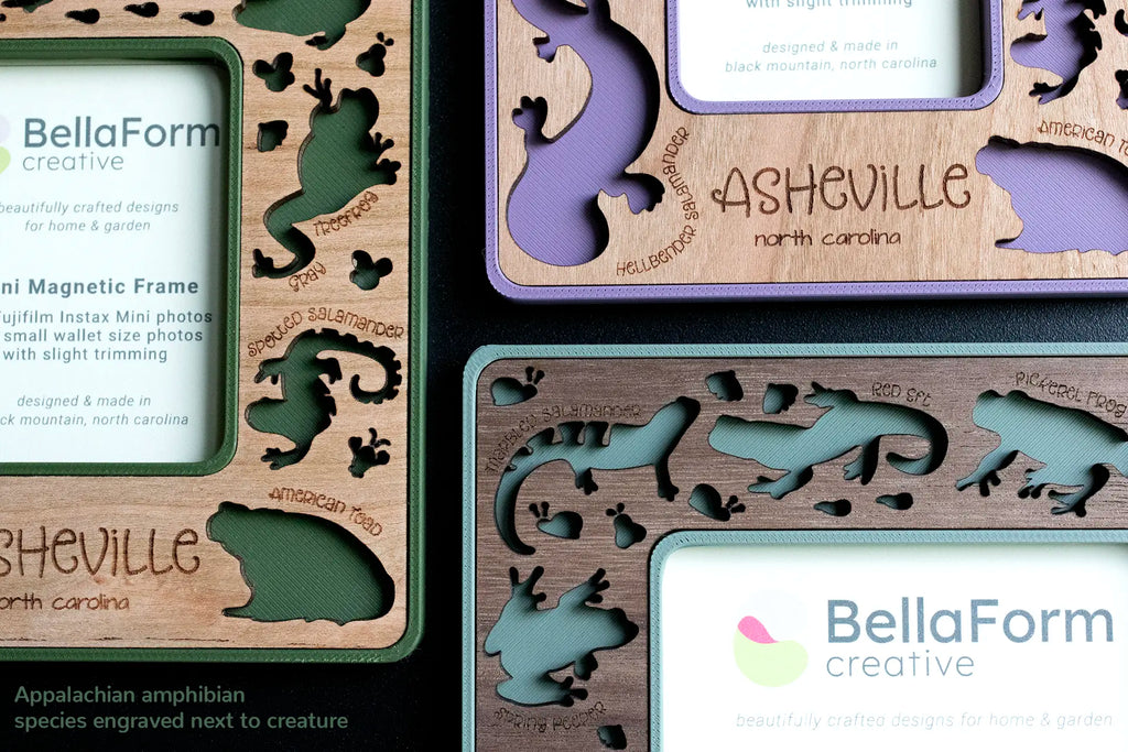 Close-up of Appalachian amphibians magnetic frames showing species names engraved beside each laser-cut cutout, including hellbender, spotted salamander, marbled salamander, red eft, gray treefrog, spring peeper, pickerel frog, and American toad.