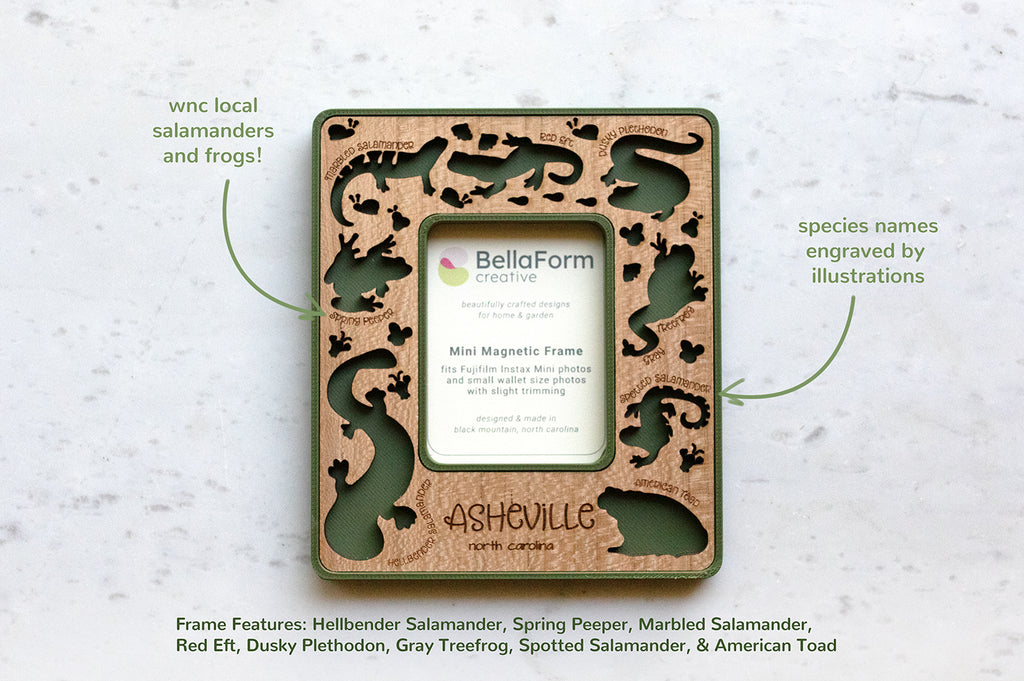 Appalachian amphibians magnetic frame featuring hellbender, salamanders, and frogs — dark green laser-cut wood with cherry inlay, species names engraved.
