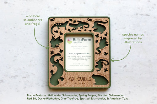 Appalachian amphibians magnetic frame featuring hellbender, salamanders, and frogs — dark green laser-cut wood with cherry inlay, species names engraved.