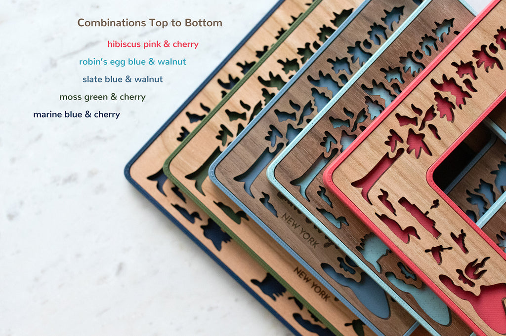 An assortment of five mini magnetic frames in various colors. Colors include: hibiscus pink with cherry, robin's egg blue with walnut, slate blue with walnut, moss green with cherry, and marine blue with cherry. These mini frames are displayed in a stack with corners visible to reveal possible color combinations. The image reads "Combinations Top to Bottom."
