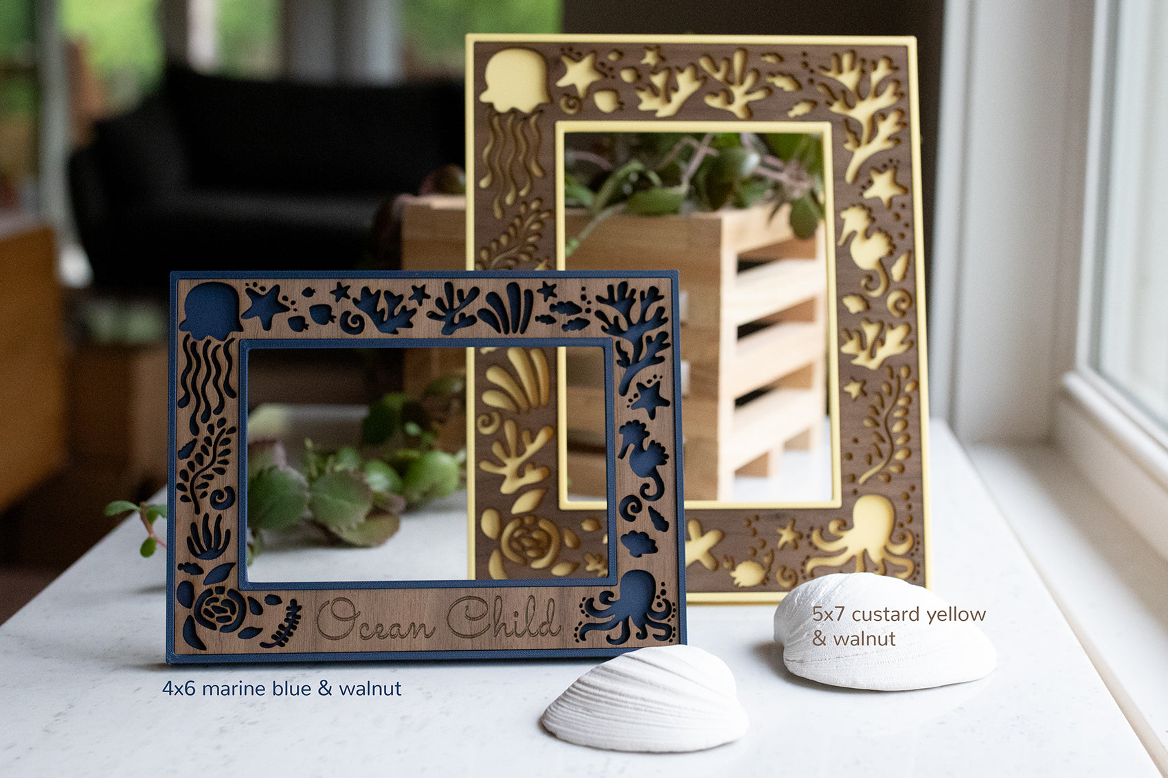 Front view of two handmade ocean decor picture frames, a yellow and walnut wooden 5x7 size and a navy and walnut wooden 4x6 size. The frames are pictured with two large white seashells, and they are designed for beach houses and ocean lovers.