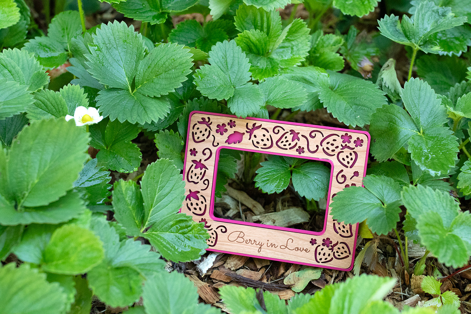 A bright plum pink Instax Wide frame with cherry wood inlay and an engraved personalized message reading "Berry in Love." The frame is lying outside in the garden amongst bright green strawberry plants.