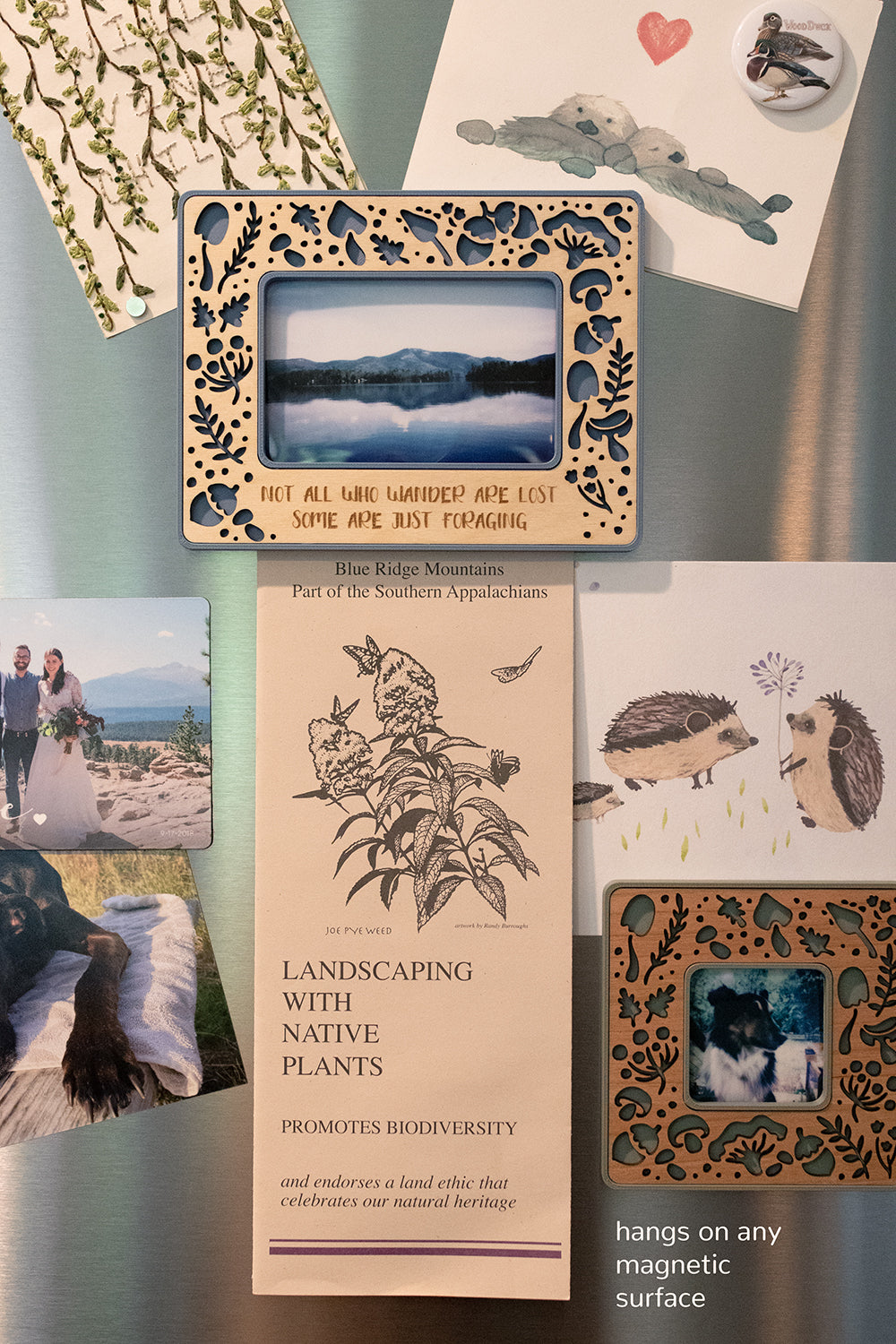 Two miniature magnetic frames on a stainless steel refrigerator. The frames have an intricate, laser cut woodlands mushroom and acorn design and feature a blue and a green color with cheery and birch wood inlays. The mini frames are surrounded by cute postcards and photographs. The words "hangs on any magnetic surface" are visible at the bottom of the image.
